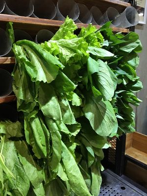 Many fresh greens!  at Xiǎng Shū ZhíRén 饗蔬職人- VegesM - North District - Maybe closed in Taichung