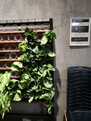 Choose a vegetable and put it in the bucket! at Xiǎng Shū ZhíRén 饗蔬職人- VegesM - North District - Maybe closed in Taichung