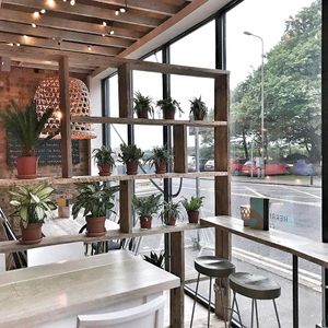 view at The Herringbone in Edinburgh