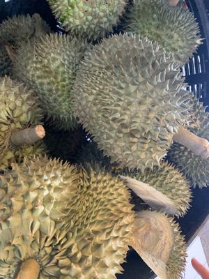 Durian💗 at Or Tor Kor in Bangkok
