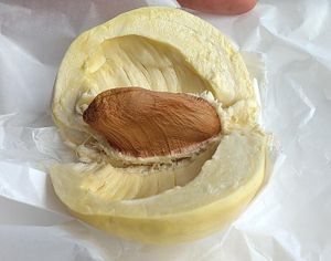 100g Durian for 150 Baht at Or Tor Kor in Bangkok