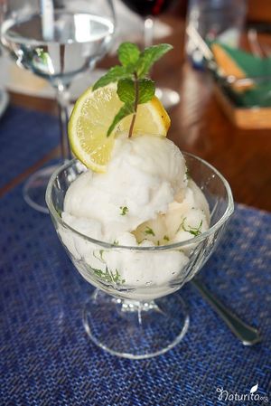 Lemon sorbet at Enriclai in La Palma