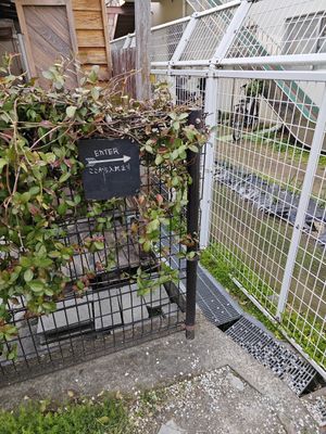 Interesting entrance at Onwa in Nara