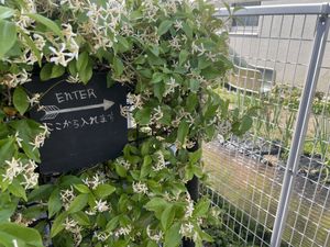 Entrance 😁  at Onwa in Nara