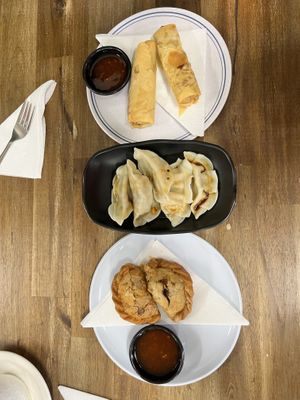 Spring rolls, dumplings and curry puffs - quick and easy options  at Tea Shrine in Alice Springs