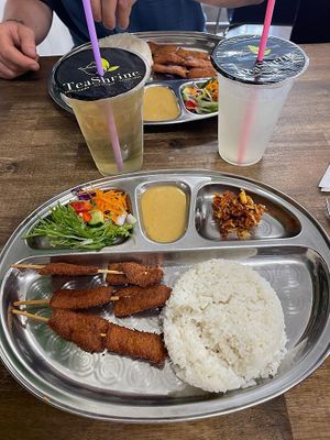 Satay with coconut rice at Tea Shrine in Alice Springs