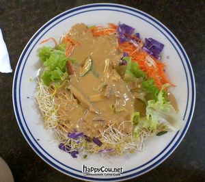 Cold noodle salad with satay sauce at Tea Shrine in Alice Springs