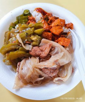 Rice with Bittergourd, Tofu Tempeh and braided mixed cabbage at Yuan Yuan 圓緣素食 - Chinatown in Central Singapore