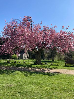  at World Peace Cafe in York