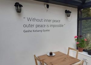  at World Peace Cafe in York