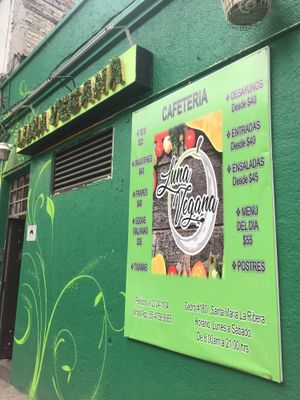 Cute green exterior  at Luna Vegana in Mexico City