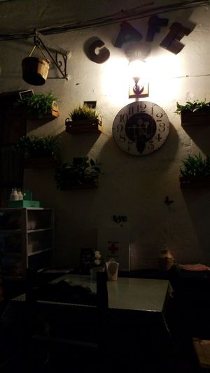 Nice place to eat! at Luna Vegana in Mexico City