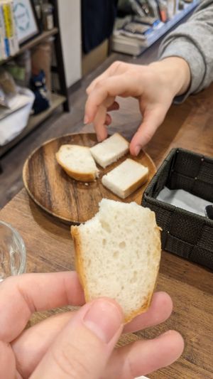  at Where is a Dog in Tokyo