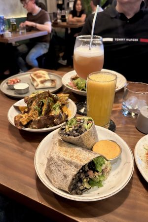   at Sapiens in Santiago