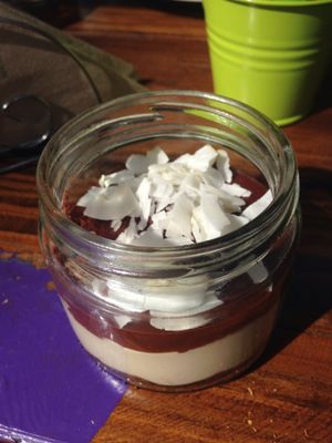 Vegan chocolate desert at Sapiens in Santiago