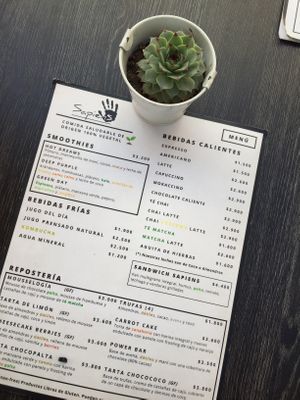 Carta at Sapiens in Santiago