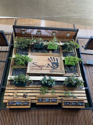 This place is a real gem!  at Sapiens in Santiago