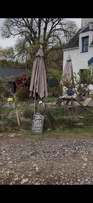   at Kerrera Tea Garden in Isle Of Keerera