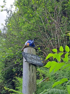  at Kerrera Tea Garden in Isle Of Keerera