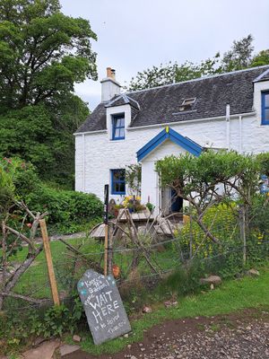  at Kerrera Tea Garden in Isle Of Keerera
