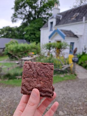  at Kerrera Tea Garden in Isle Of Keerera