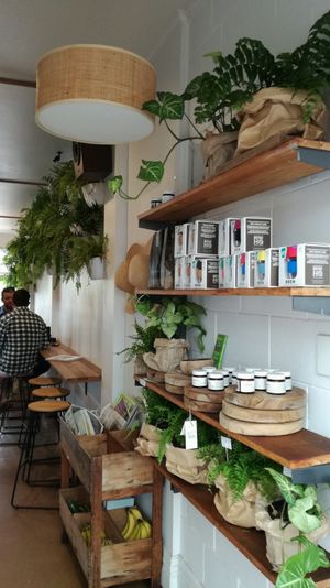 keep cups  at George Cafe in Mount Maunganui