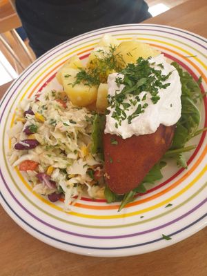 Devolay at Sufeat in Krakow