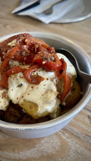 Plant Curious deal + Alpepa Potatoes   at Aleph Middle Eastern Eatery in Vancouver