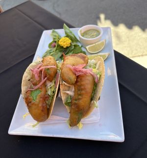 Vegan avocado tacos  at Wildest Restaurant & Bar in Palm Desert