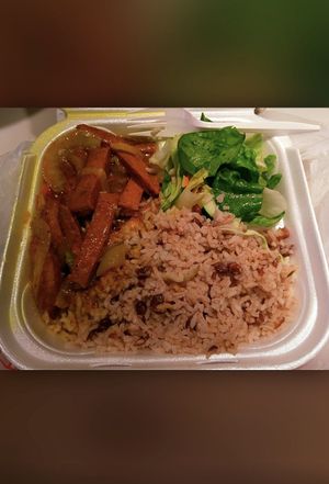 Vegan curry “chicken” coconut rice and peas and salad. Amazing! at Coconutz Fusion Cafe in Miramar