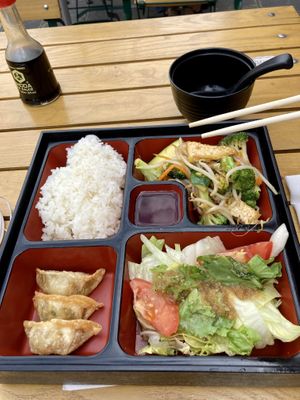 Vegan Bento with Miso soup, stir fried tofu and vegetables, vegetable gyozas and a side salad for 7,50€. at Surrito in Nuremberg