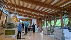 Trebah Garden cafe at Trebah Garden in Falmouth