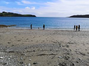  at Trebah Garden in Falmouth