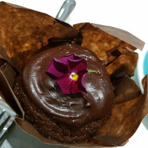 Chocolate muffin at Trebah Garden in Falmouth