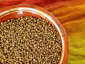 Organic coriander seeds at Community Foods Co-op at Community Foods in Cairns