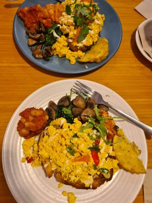  at The Cozy Corner in Taupo