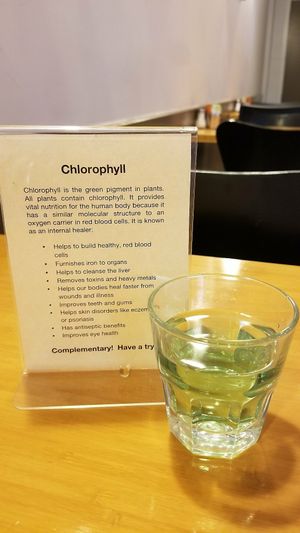 Try a glass of Chlorophyll water! at The Cozy Corner in Taupo