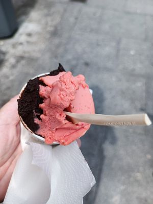  at Sun Bear Gelato in Dublin