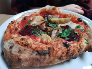 All seasons at Purezza Camden in London