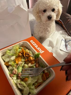 Vegan Caesar salad at Purezza Camden in London