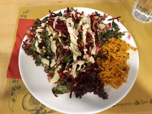 Plant Kingdom at The Plant Kingdom in Paleo Faliro