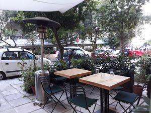 Plant Kingdom at The Plant Kingdom in Paleo Faliro