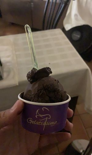 Their dark chocolate gelato. at Gelatissimo in Palm Beach