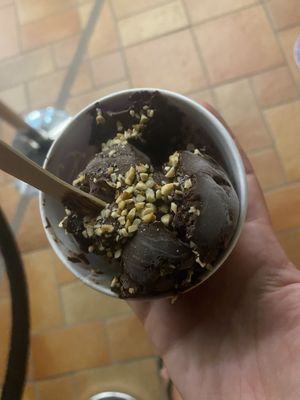 Vegan Dark Chocolate  at Gelatissimo in Palm Beach