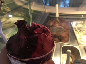 Dairy free/vegan dark chocolate and raspberry gelato at Gelatissimo in Palm Beach