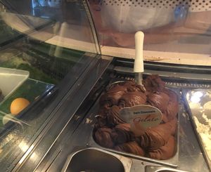 Dairy free/vegan dark chocolate gelato at Gelatissimo in Palm Beach