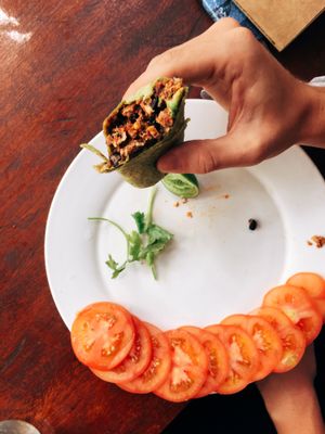 Spring Roll with spicy tofu and beans at Crane  in Siem Reap
