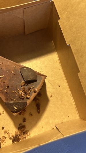 Hair in cake   at Green Library in Plovdiv