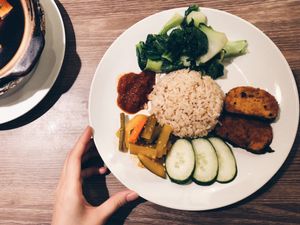 Nasi lemak at Genesis 创世界素食馆 in Central Singapore