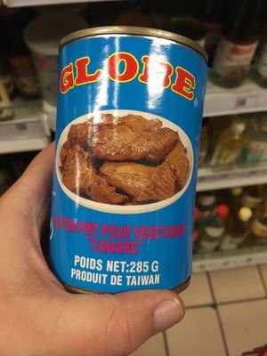 Canard végétarien  at Indochine in Nantes